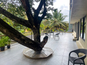 Supreme Room Terrace